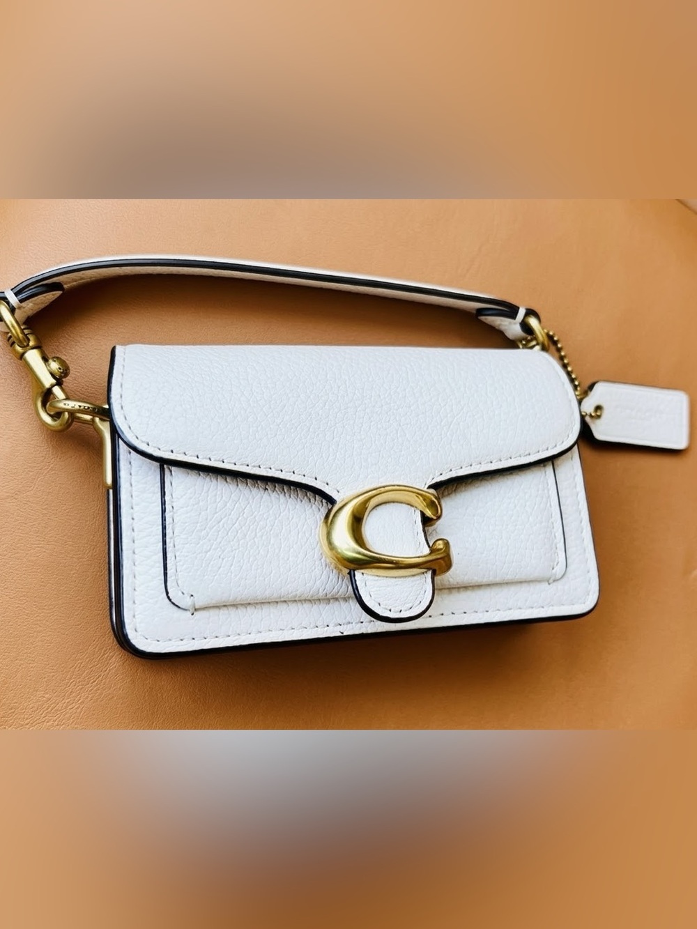 Coach 4” Terri Pebbled Leather Mini Shoulder Bag with Gold 'C' Hardware - Chalk